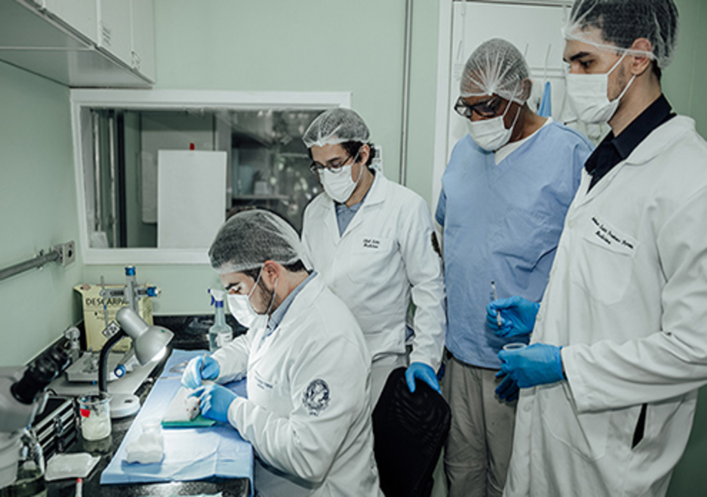 Parceria Universidade – Empresa: o caso da polilaminina no tratamento de lesões na medula espinhal